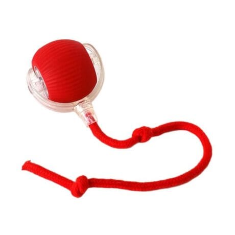 Ultimate Smart Chaser